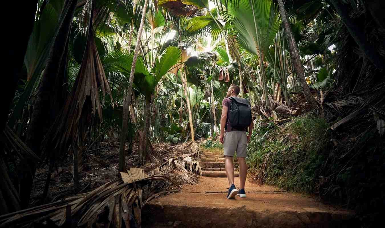 Ready for Outdoor Fun? Discover Top Nature Trails & Parks