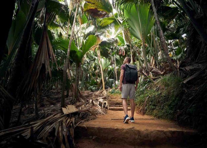 Ready for Outdoor Fun? Discover Top Nature Trails & Parks