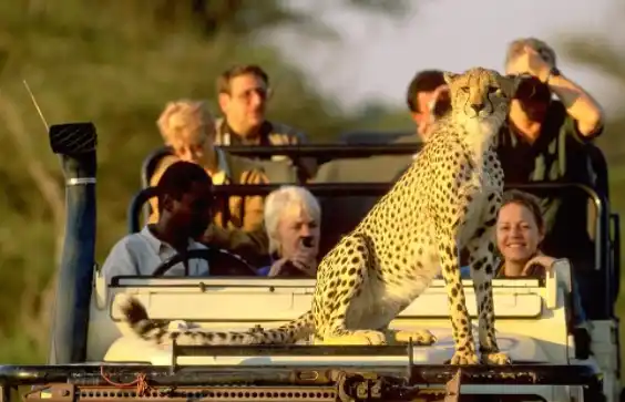 A Traveler’s Guide to Diverse Tour Options Around the World