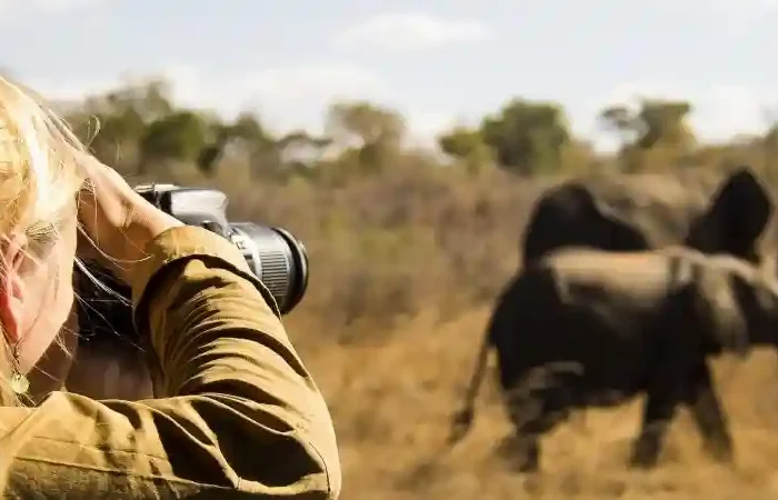 The Traveler’s Guide: Key Considerations for Your Next Vacation